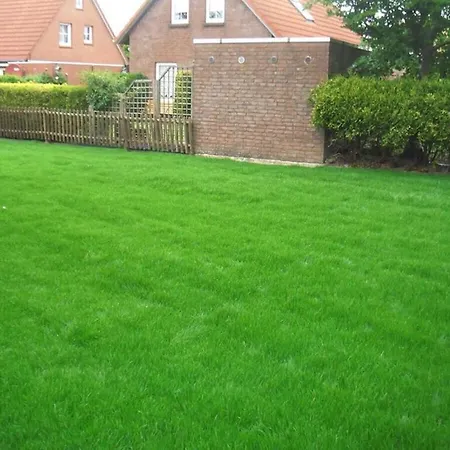 In With Swimming Pool